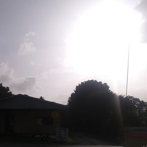 Meet your Posher, Randy